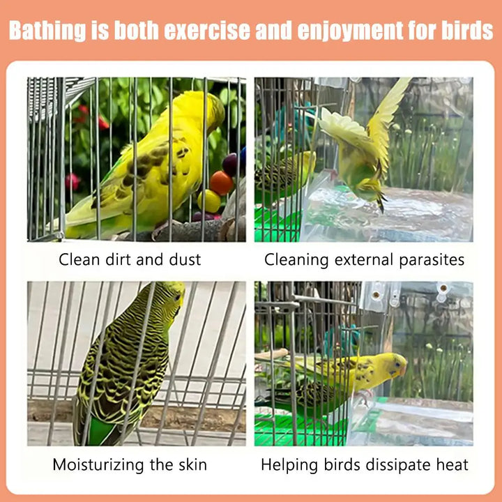 Budgerigar Bird Bath Box