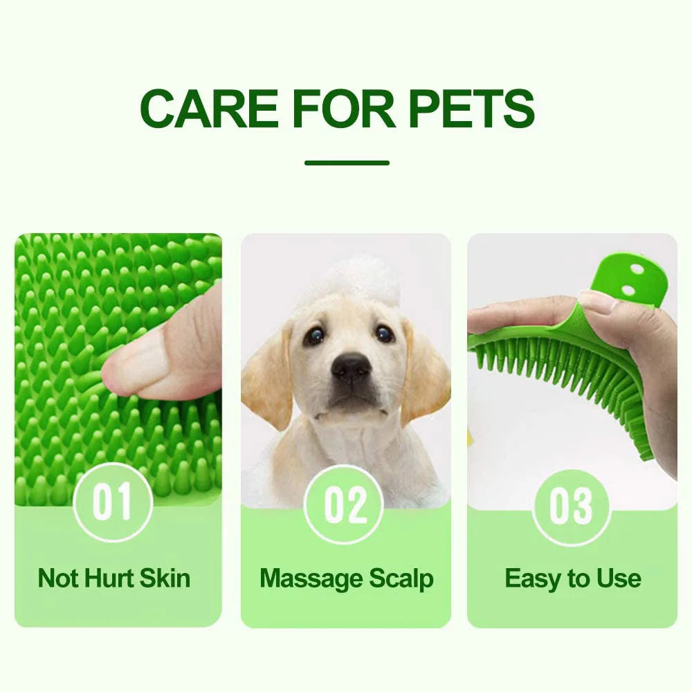 Care For Pets 