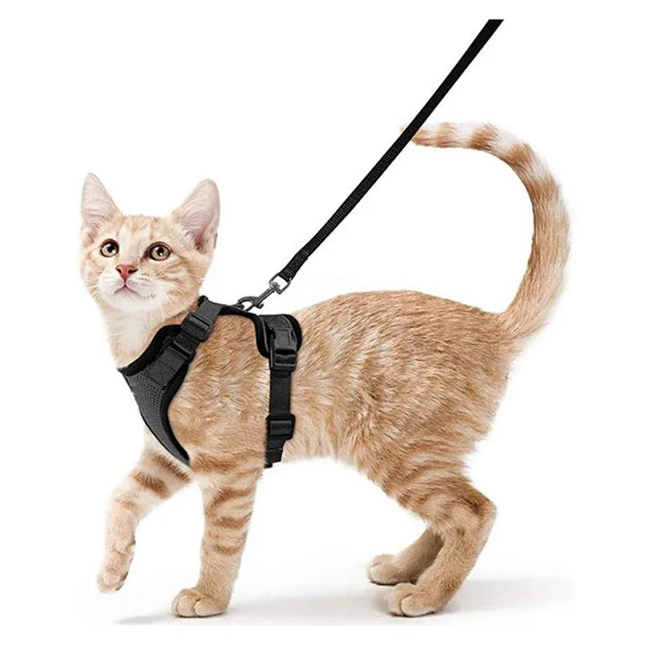 Cat Adventure Harness Set