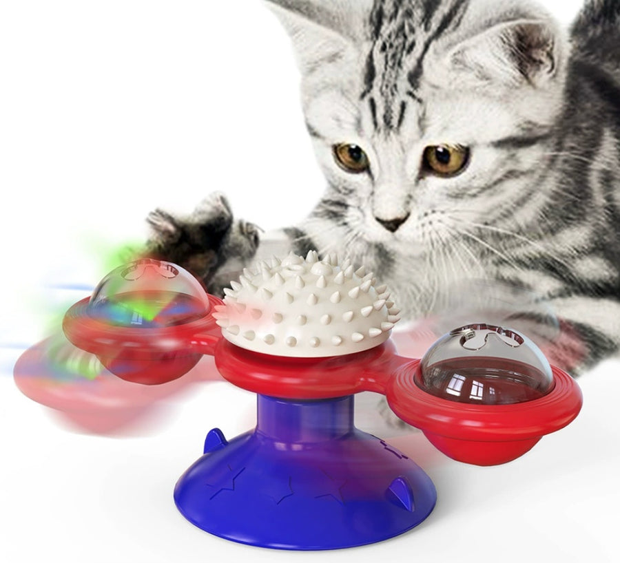 Cat Entertainment Toy Set