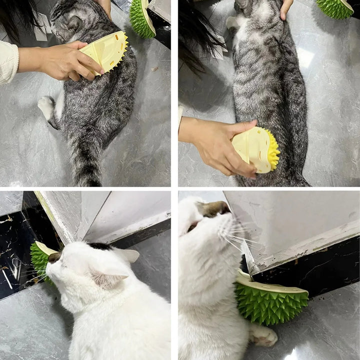 Cat Grooming Brush and Scratcher