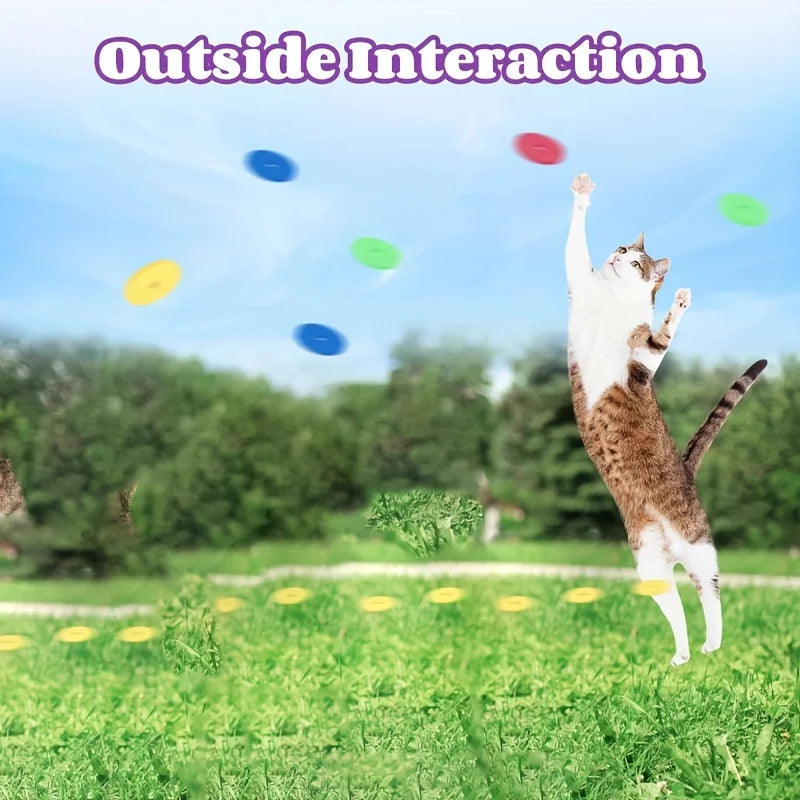 Cat Hunting Interactive Toy