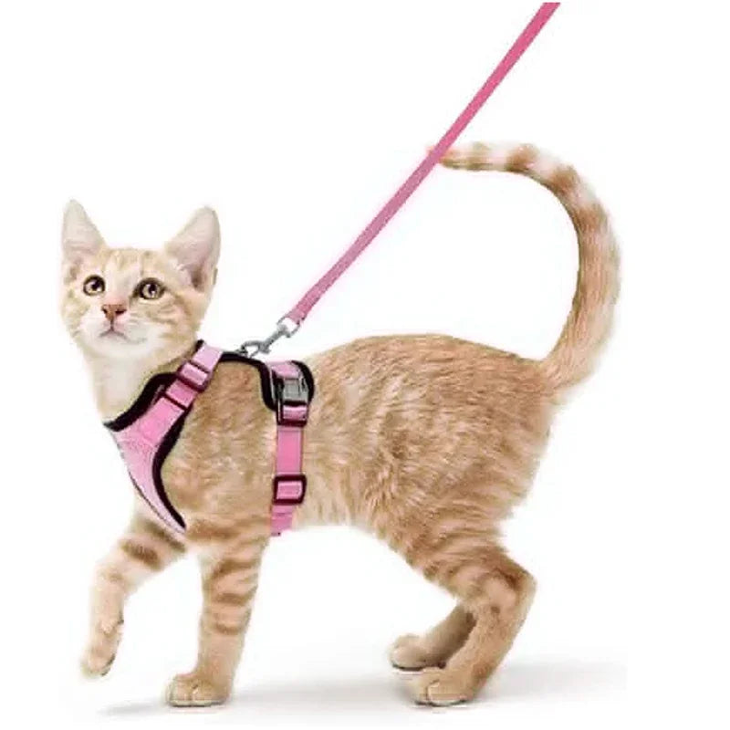 Cat Leash and Vest Combo