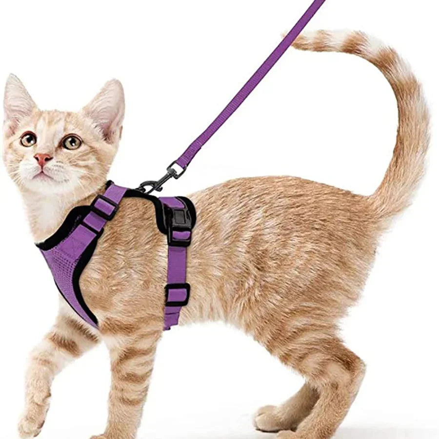 Cat Leash with Adjustable Vest