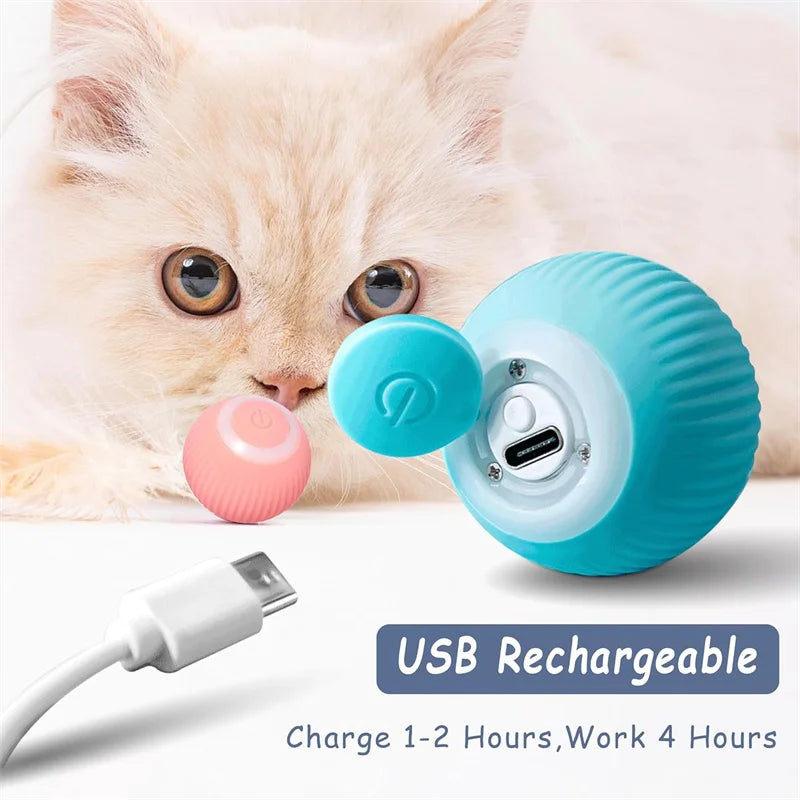 Cat Looking At the USB Charger Ball 