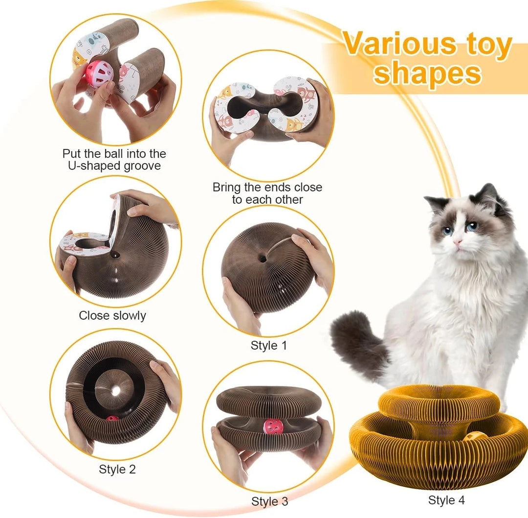 Cat Scratcher with Magic Organ Design
