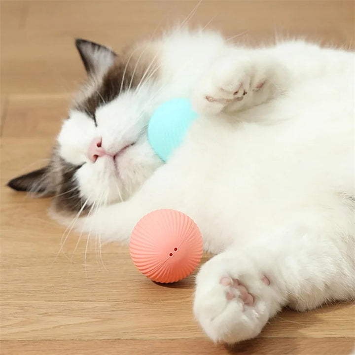 Cat Sleep With Ball 