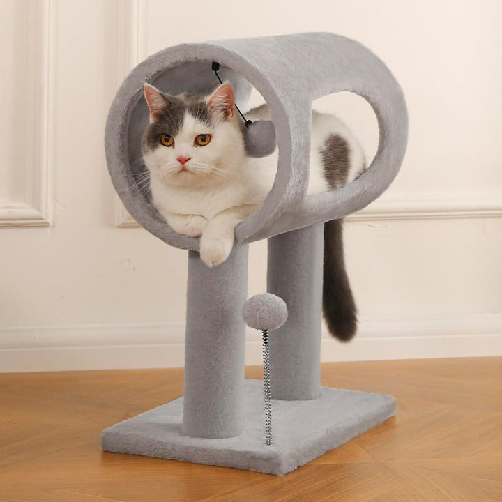 Cat Tree With Tunnel