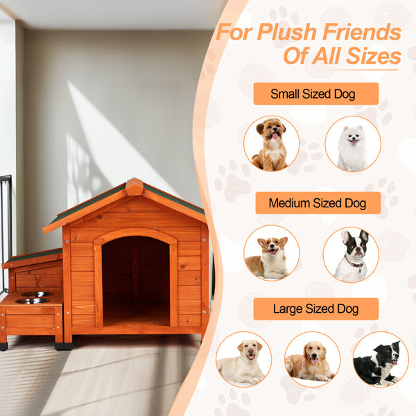 Cat and Dog House for All Sizes 