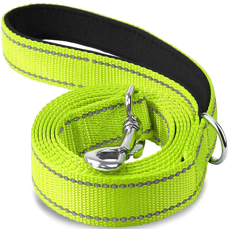 Cat and Dog Training Leash with Reflection
