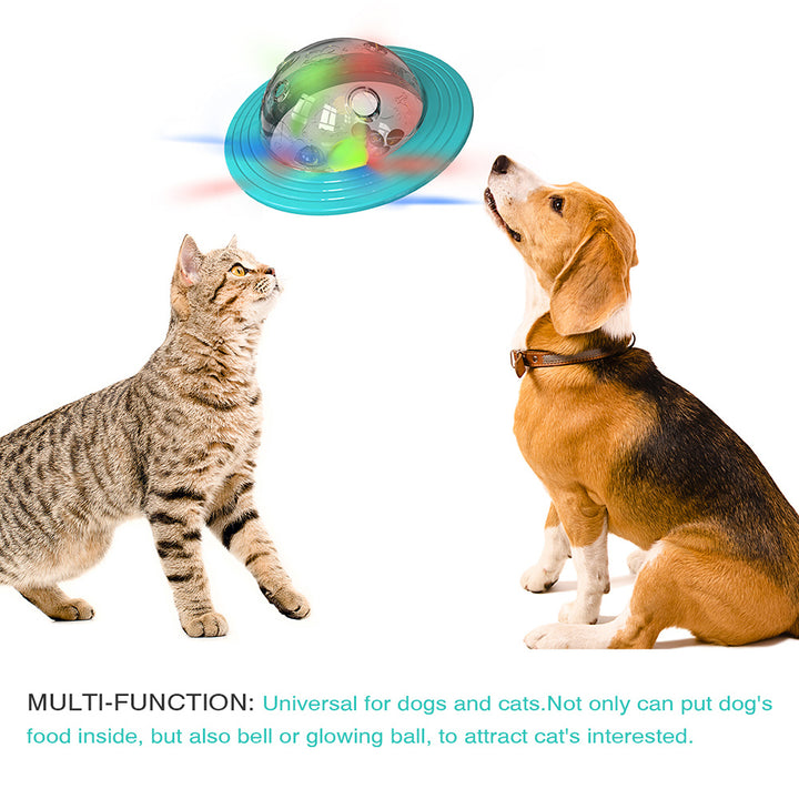 Cat and dog playing with a colorful ball toy