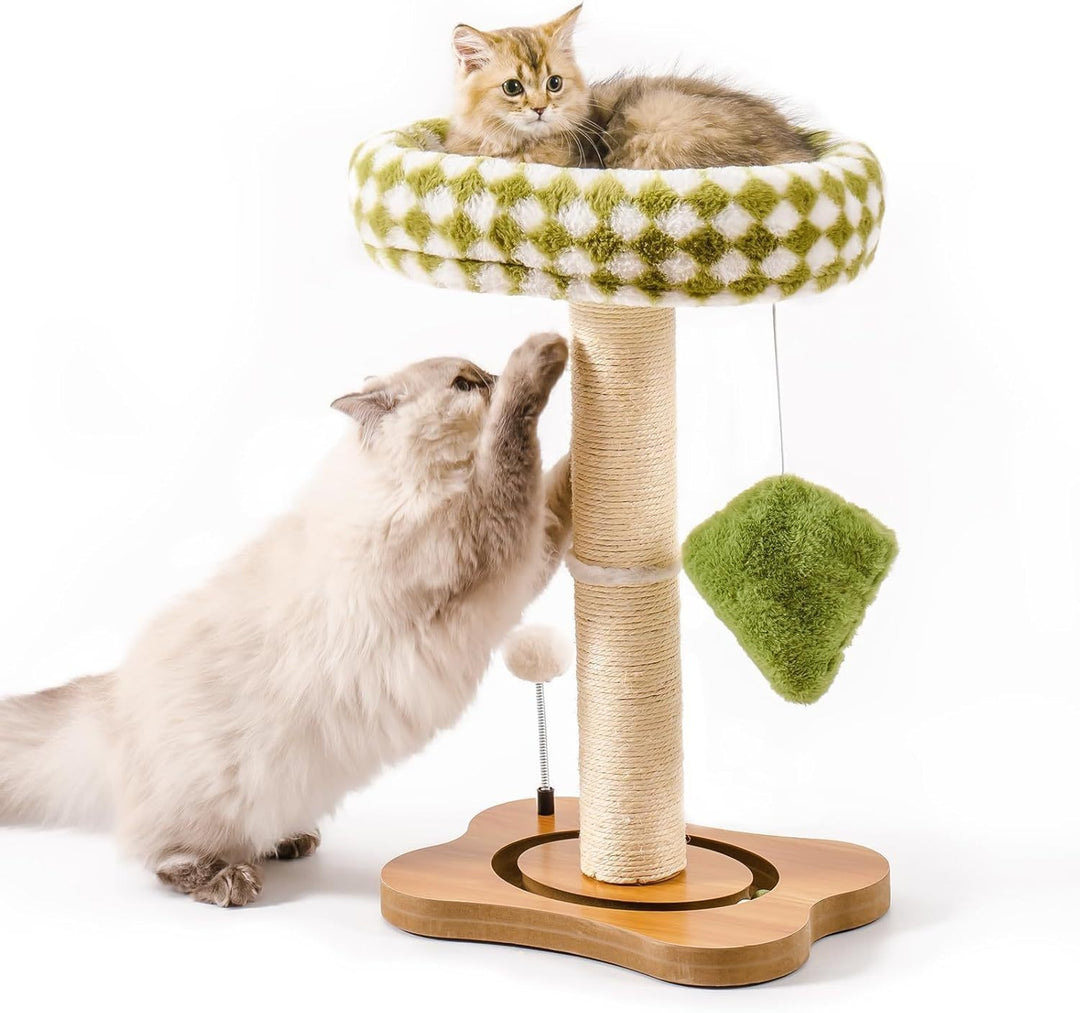 Cat bed with sisal scratcher