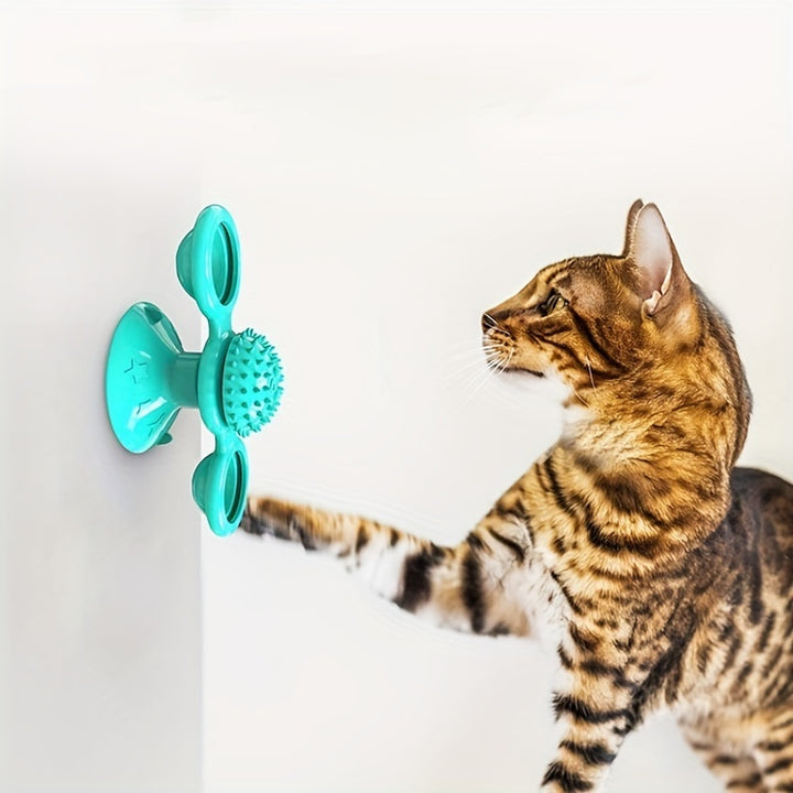 Cat exercise toy with rotating spinner