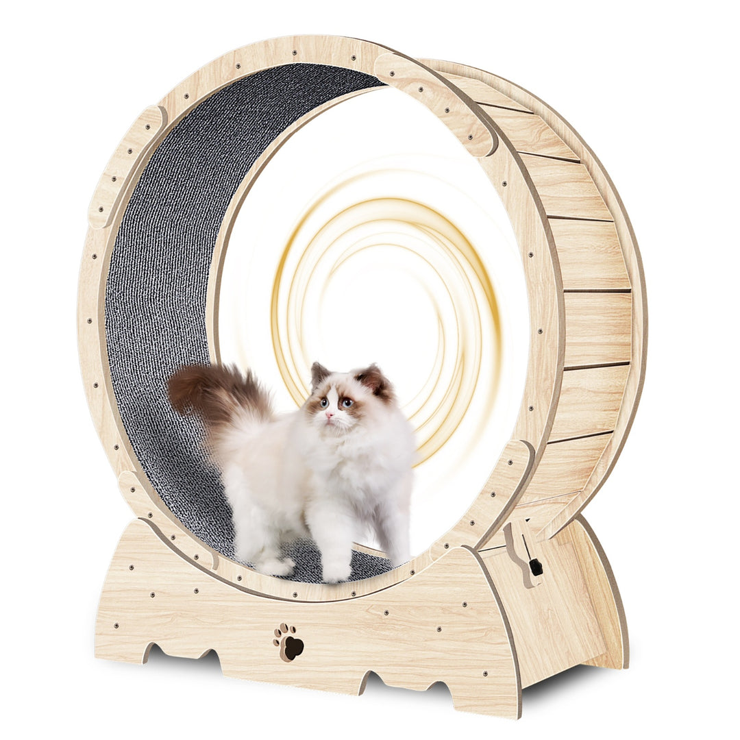 Cat exercise wheel for indoor cats