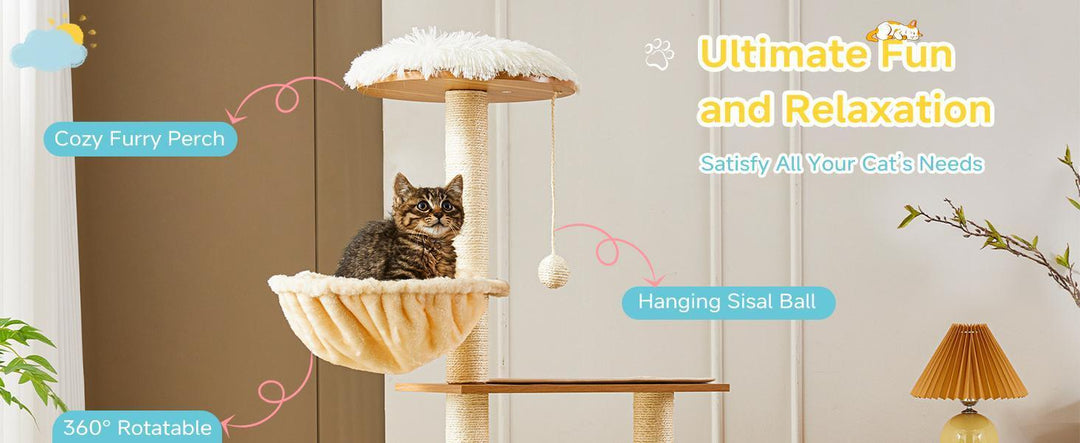 Cat hammock and scratching post