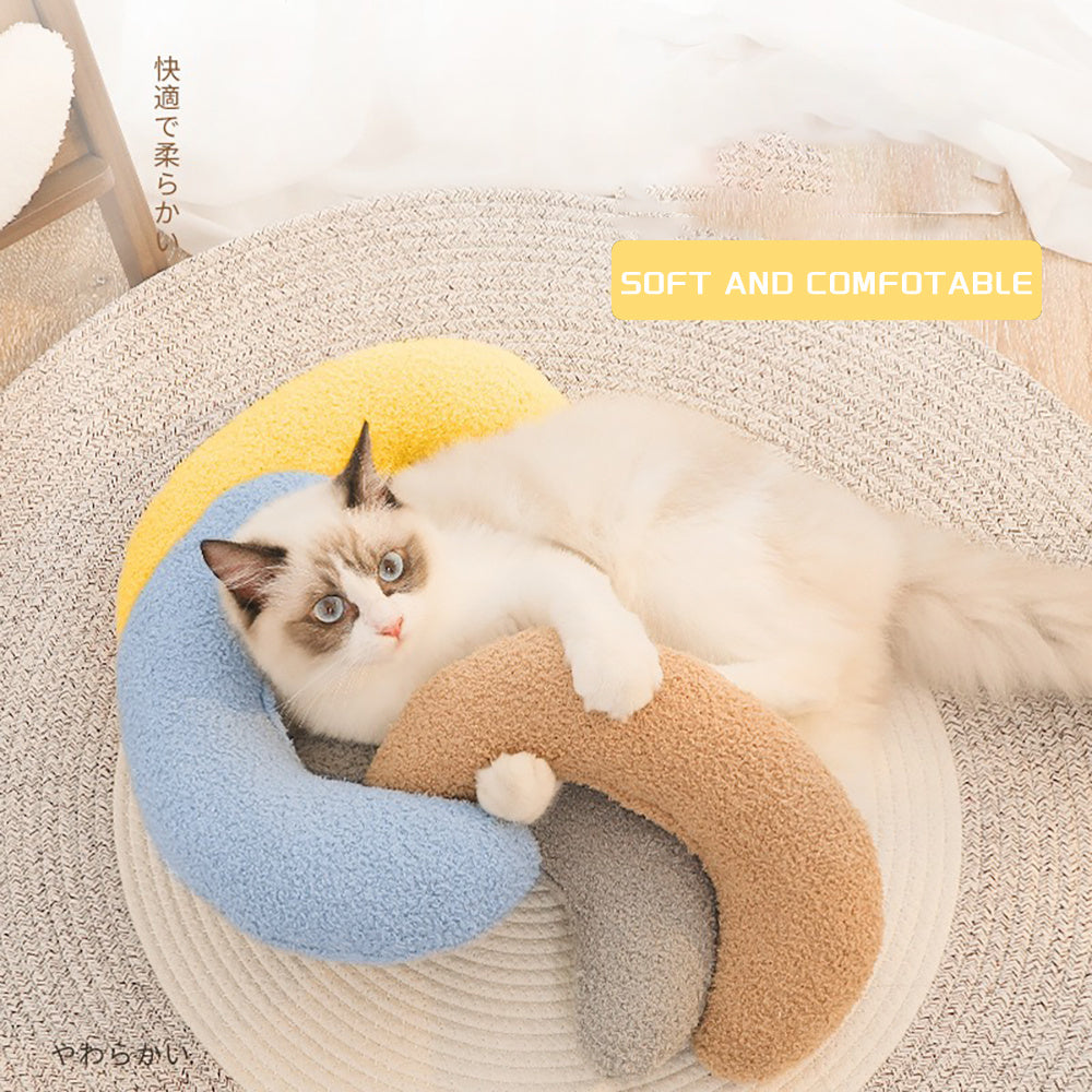 Cat lying on a colorful pet bed 