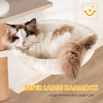 Cat lying on a large hammock 