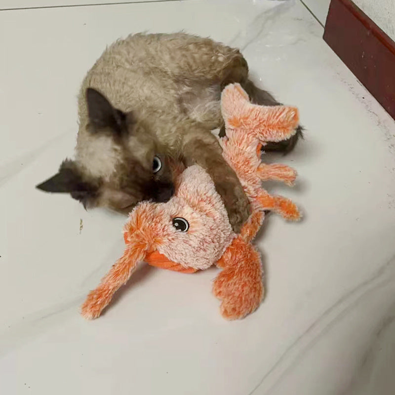 Cat playing with a plush toy