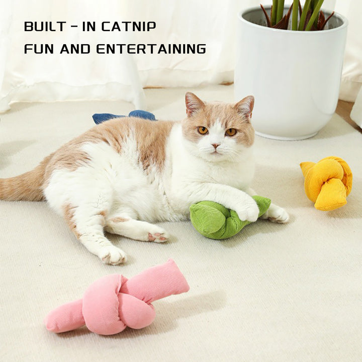 Cat playing with toys