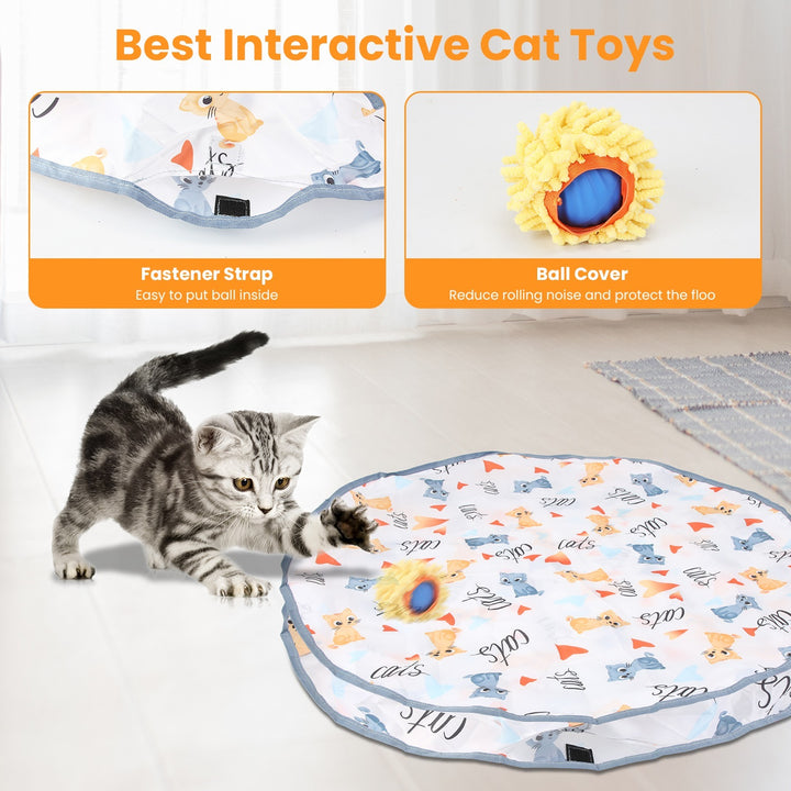 Cat pouch rolling ball toy