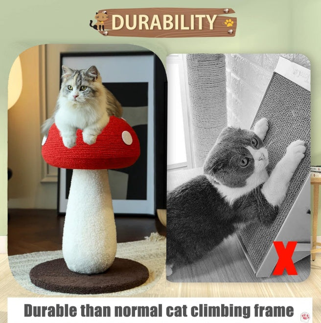 Cat scratch board with ball toy