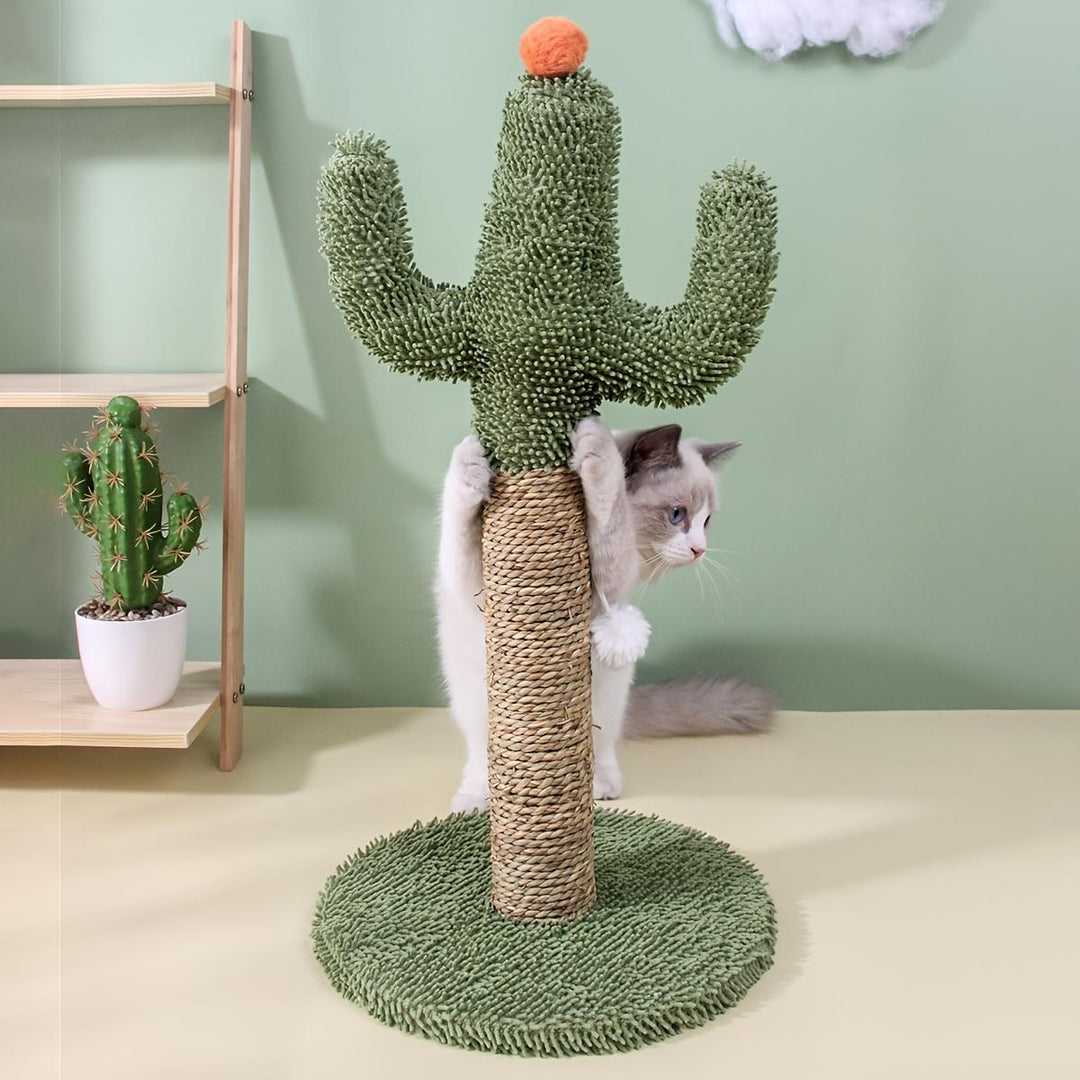 Cat scratching cactus toy for exercise