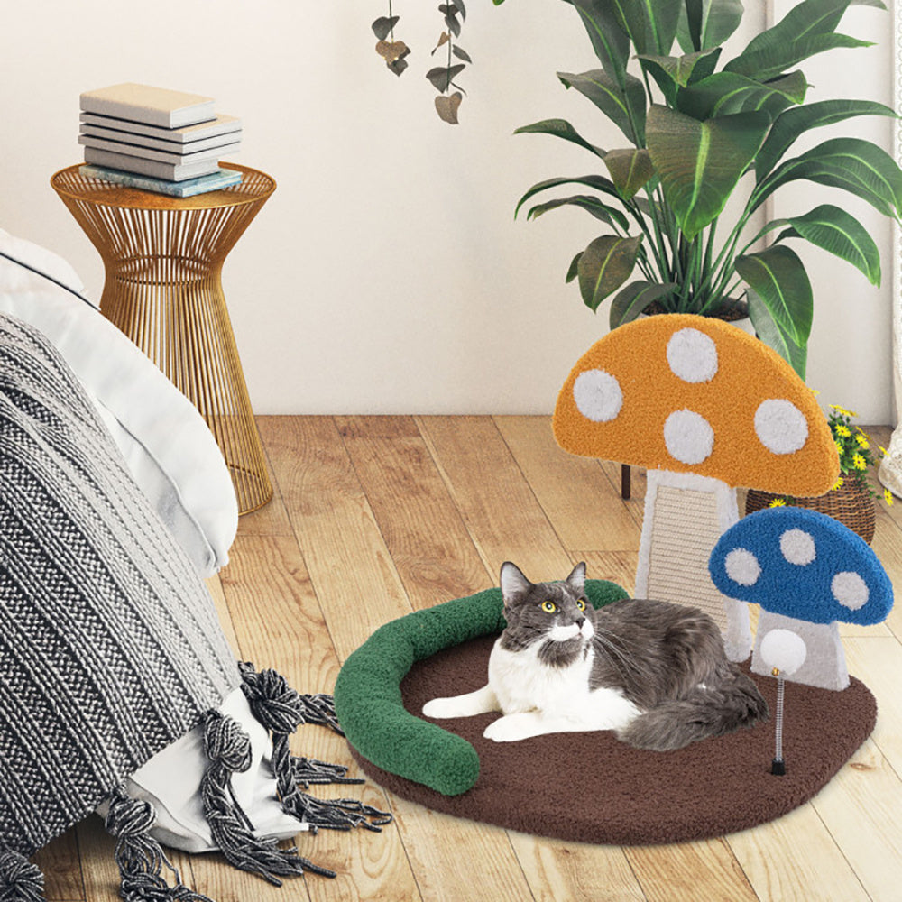 Cat scratching furniture