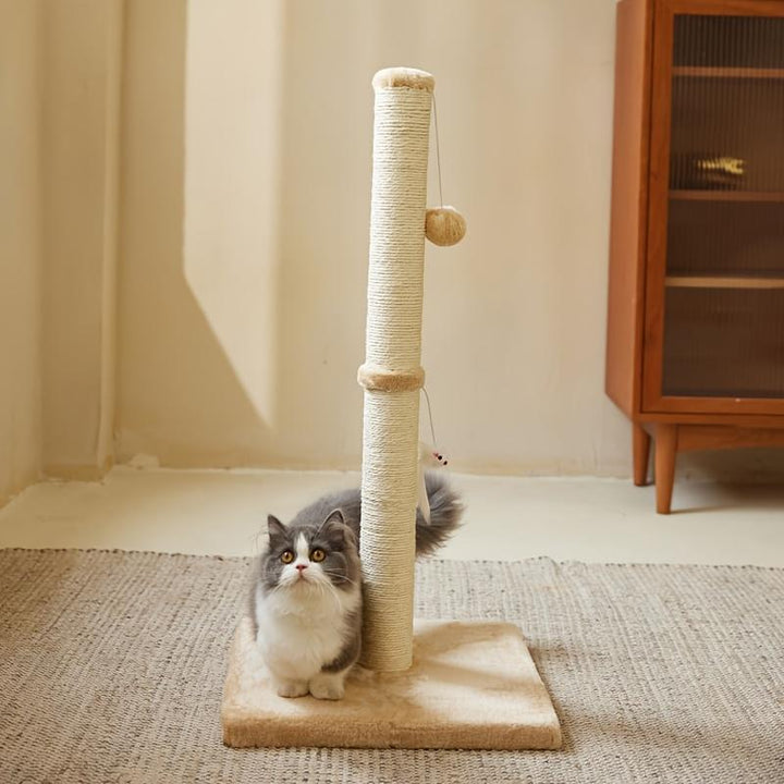 Cat scratching post with hanging ball