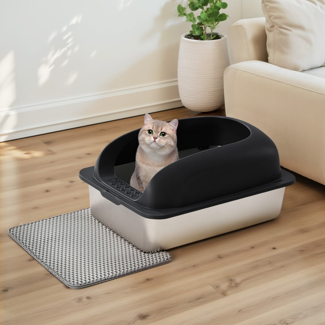 Cat sitting inside a black and white litter box