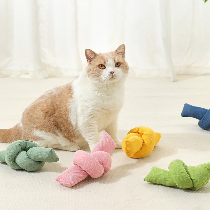 Cat sitting on a light surface with colorful knotted toys