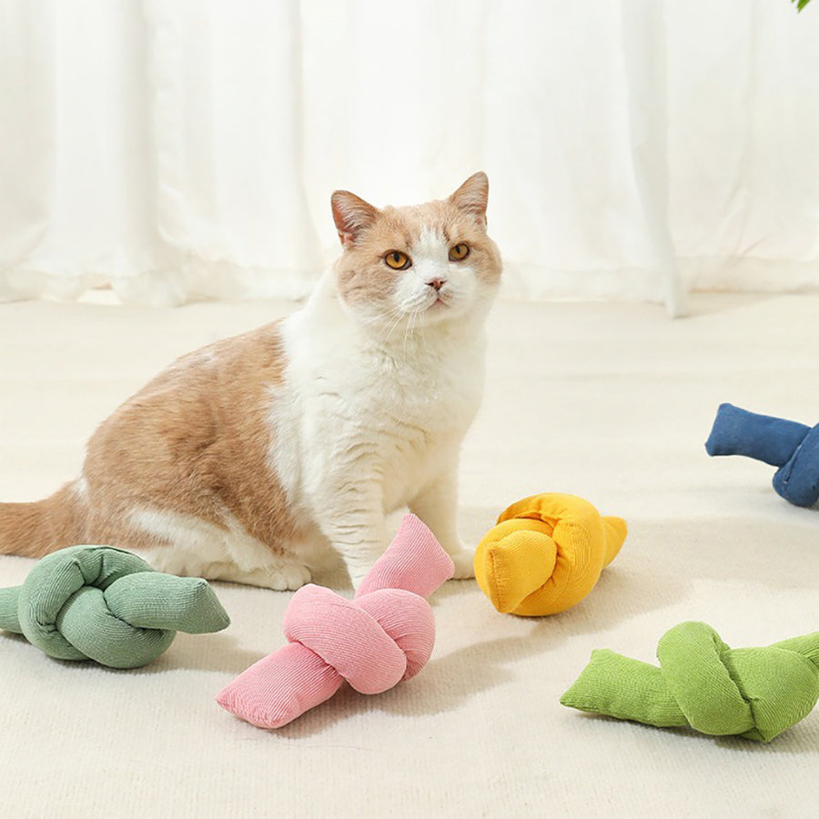 Cat sitting on a light surface with colorful knotted toys