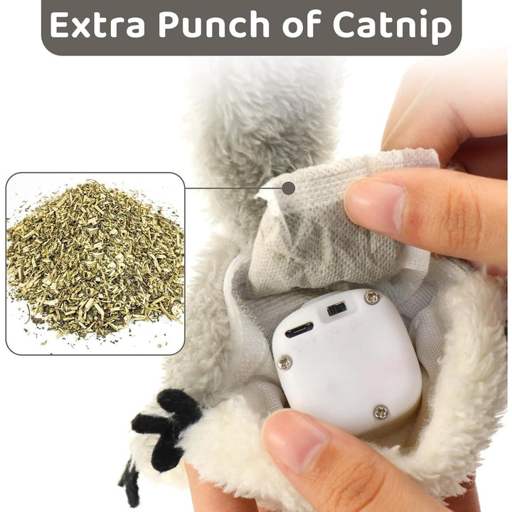Cat toy with catnip and motion