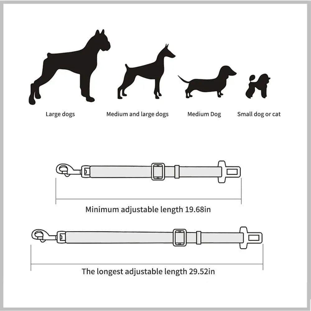 Cat vehicle seat belt with safety clip