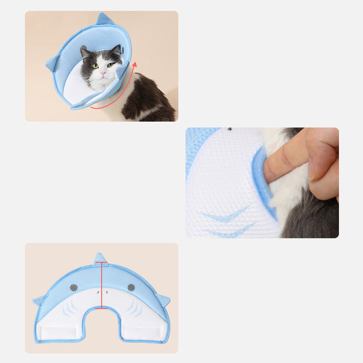 Cat wearing a blue e-collar with shark design  held by a person