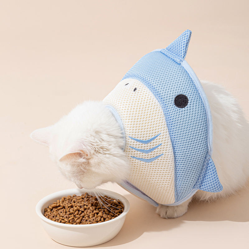 Cat wearing a blue shark shaped shower cap while eating from a bowl