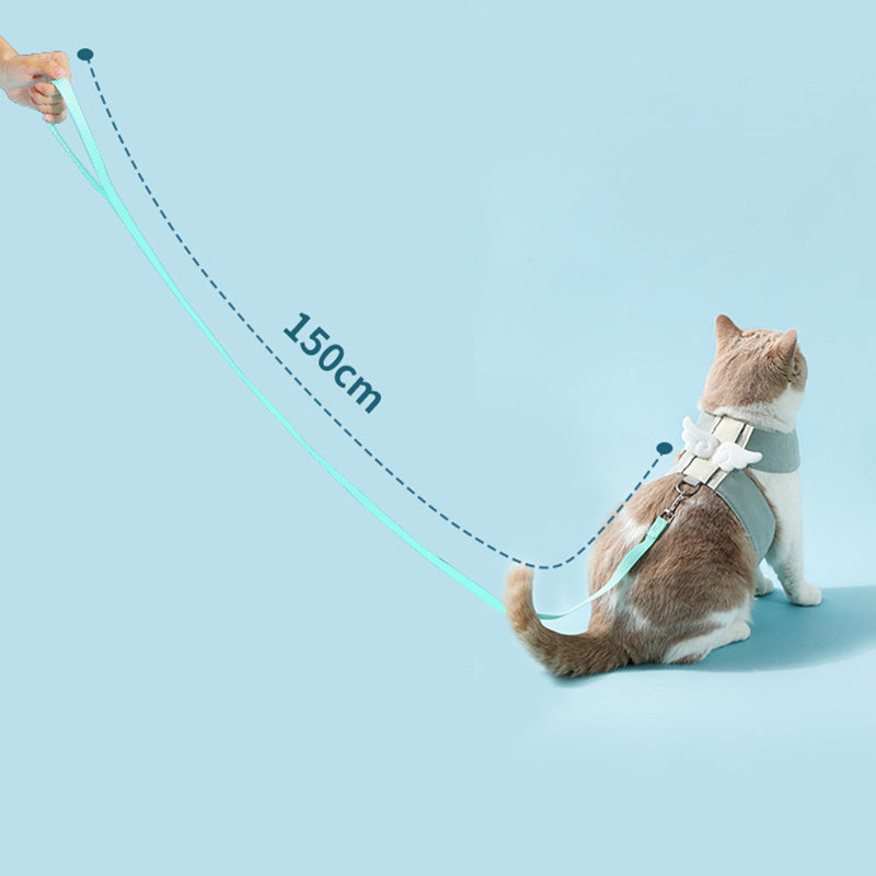 Cat wearing a harness with a leash