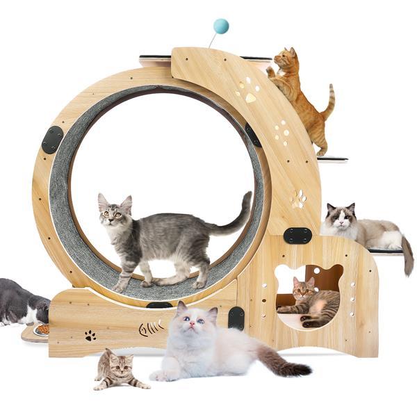 Cat wheel exercise device