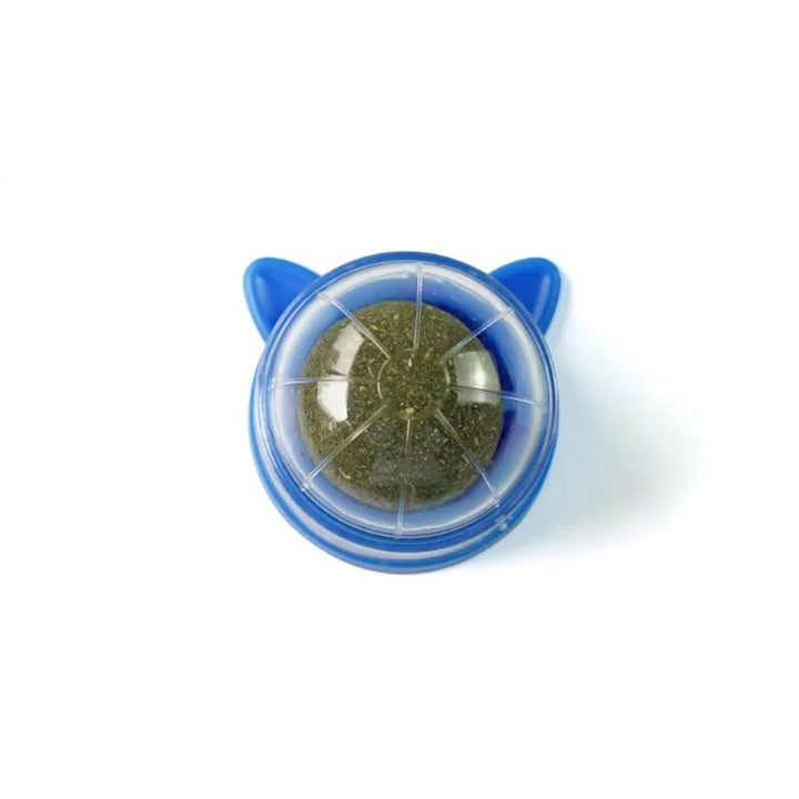 Catnip Ball for Indoor Cats