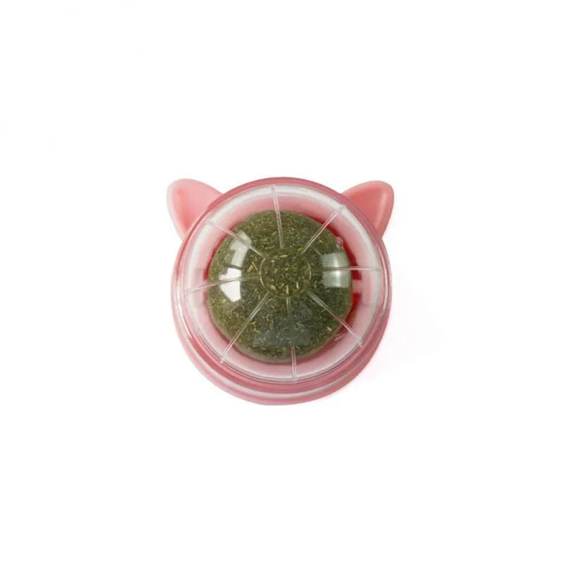 Catnip Ball for Picky Cats