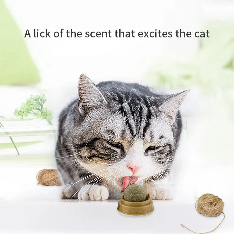 Catnip Balls for Healthy Cat Playtime
