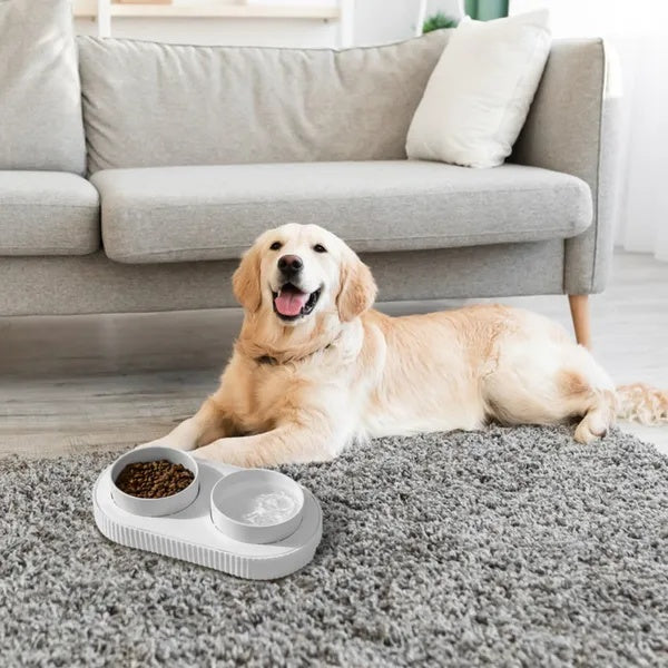 Ceramic heated water bowl for pets
