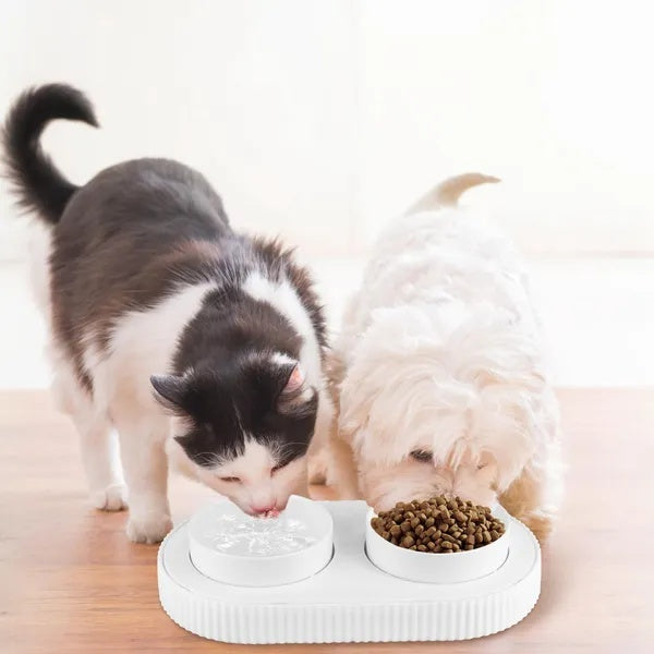 Ceramic pet bowl with heater