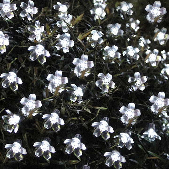 Cherry blossom fairy lights for holidays