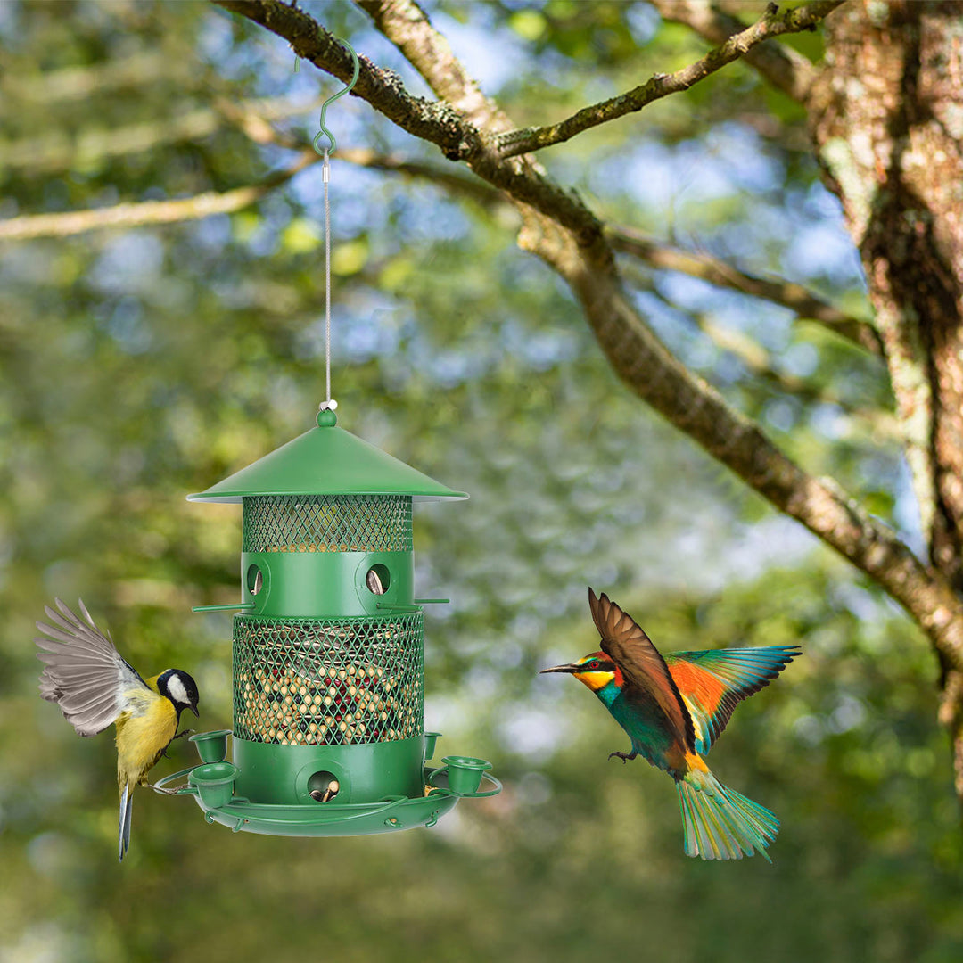 Chew resistant hanging bird seed feeder