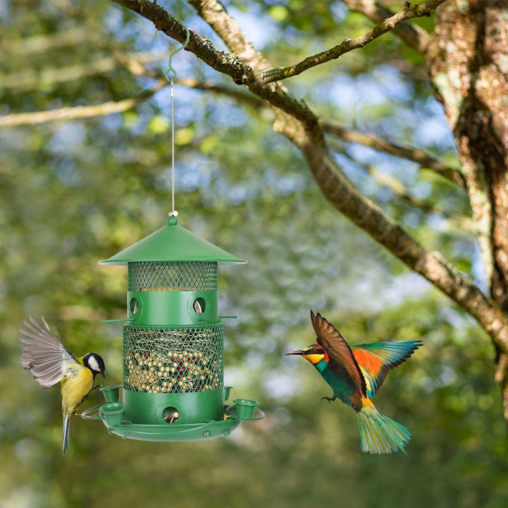 Chew resistant hanging bird seed feeder