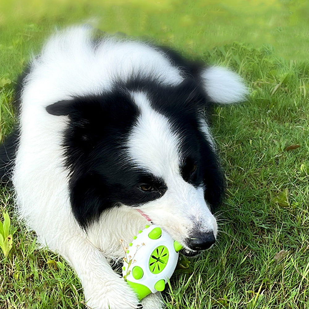 Chewing toy for small large dogs
