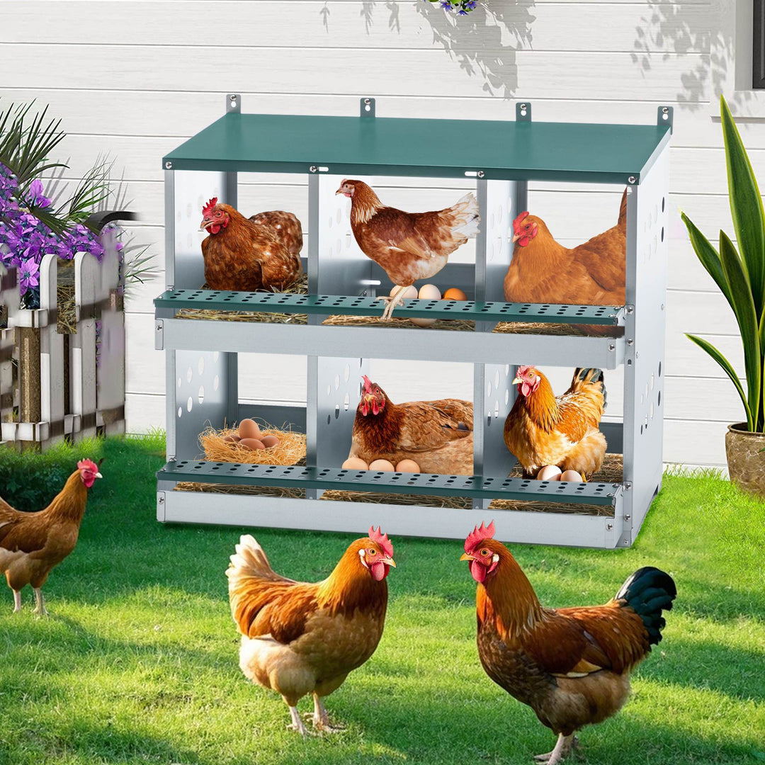 Chicken nesting box with six bays