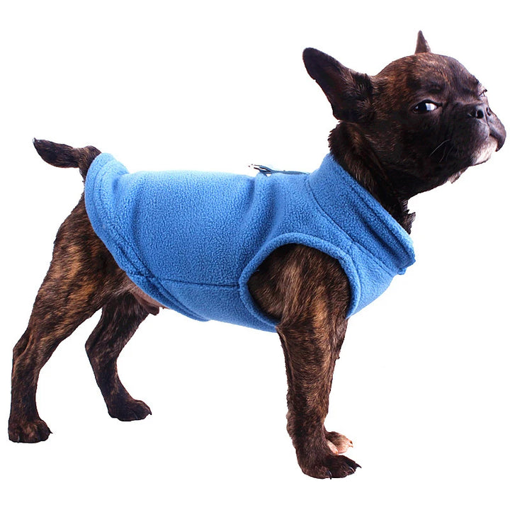 Chihuahua Fleece Costume for Winter