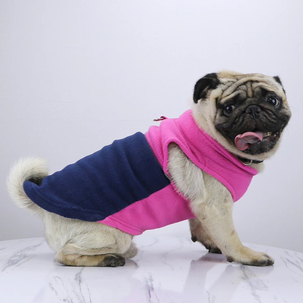 Chihuahua Winter Clothing with Fleece