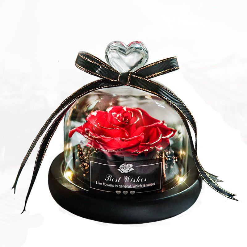Christmas Red Rose